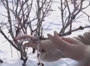 � ��������� ��-�� ����������� ����� �� �������� �������� �����