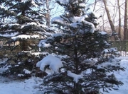 �������� �� ����� �����