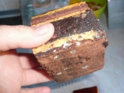 ��������������� ����������� �� 39 ����� ����� �� �������� � ��������