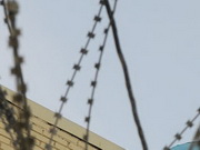 ������ ������ �������� � ���������� ���� ��� ���������� ���������� ����� ������ �������