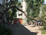 ������ ������������� �� ����� ������ ������� �� ����� ���� ������