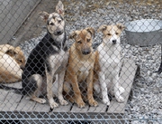 �� ������������� ������ ��� �������� ���������� 7,5 ��� �����