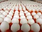 105 ��������� ��� ���������� � ��� ������ ������������ �������