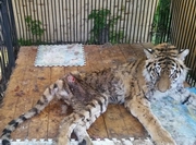 ������� ������ ���������� � ��������� 18 ��� ����� �� ������������ � facebook