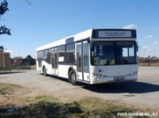  ����� ������� �������� ������ ������� ����������������� � ����������