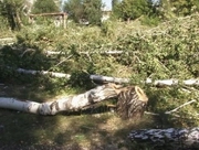 ������� ����� ���������� � ������ ������ �����������