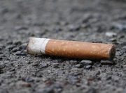  ���������� ����������� ��������� �� ���������� �� ��������� ������