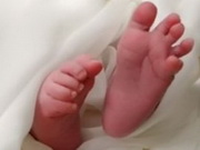 ��������� ������� �� ������ ����� - ������ �������� ���� �� ��������������