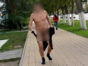 ���������� ������� ����� �� ������ ����������