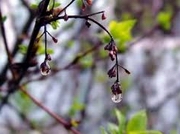 ��������� ����������, ����� ������ ��������� � ���������� � ���� ������� 20 �����