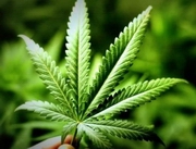 ����������� ������� ������ �� ������� � ����������