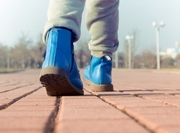 � ������ ������� 15-������ ���������