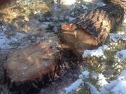 � ��������� �� ��������� ������� �������� ����������