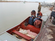 �� ��������� � 