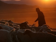 ��������� ������ �� ����������� ��������� ������� ������� ������������ �������