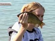 ���� ������ �������� ��������������� ������