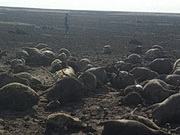 ����� �������� ����������� ������ ������� � ���� � ������������ �������