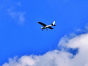 ����������� ������ ����������� � ���������� ������ ���������