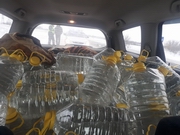 600 ������ �������������� �������� ������ ������������ �����������