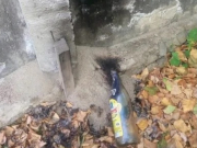 ��� ������������ ���������� ���� �� ������ ���������� ��������