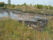 ��� ��������� ����������� ������� ���������� � ���