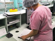 ���� �� ������ ���������� ������ �������� � 2019 ����