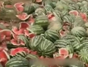 ������� �������� � ������ �������� ��������