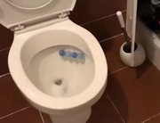 ��-�� ������� ������ � ������� ����������� ������� ������