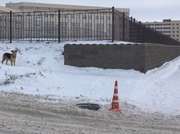 ���������� ����������� � ������� �������� �� ����� ������ ���������