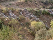  ������������ ���������� �������������� ����� ������������ ������� �������