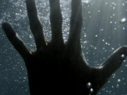 ������������ ��������� ����������� ���� ��������� ��������