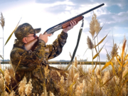 � ������������ ������� ������� ��������� �����