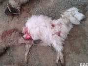 115 ����� ���������� � ���� � ������������� �������