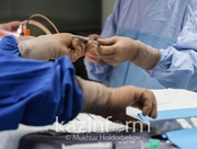 ������� �� ���� �������� ����� ������� ������� ������������ �����