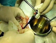 ������������� 38 ��������� ������� �������� ������ ����� � ������