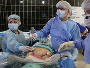 ������������� ������� ��������, ��� ������� ��������� ��� ��������