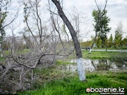 ������� �� ���������� ����� ����������� ���������