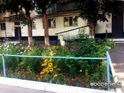 ��� ������, ���� ��� �� ���������� ������ ������ ���?