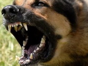 ������ �������� 9-������ ������� � �����