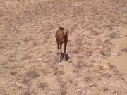 �����������-��������� ������ � ������� ����� � ���������� 