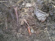 ������� ��� ����� ���������� ������� �� ���������� ����� � ������