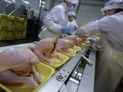 ������ ������� ������� ��� �������� ���� ����� �� ��� � ���������