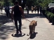 �������� � ������ � ������ ������ ����� �������� � ��������