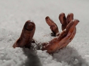 ����� ����� ������� ������ ������� � ���� � ������������ �������