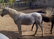  ��� ����� � �������� ���������, ��������������� � ��������