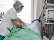 ������� ������������ ������ ���������� �� ��������������� �������� ������� �����