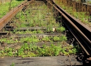 ������� ����� ��� ����� � ������� ���� � ������