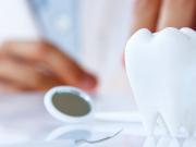 �� ���� �������� ����: � ������������ ��������� ����������� ��������