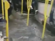 ������ �������� ������������ �������� ���������� � ������