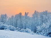 ����� �� 40 �������� ������� � ����������